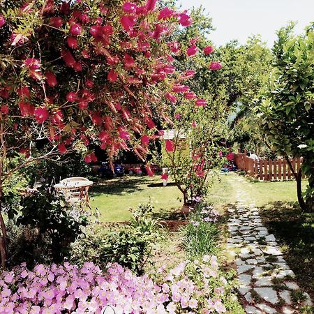 Plakias River Apartment Extérieur photo