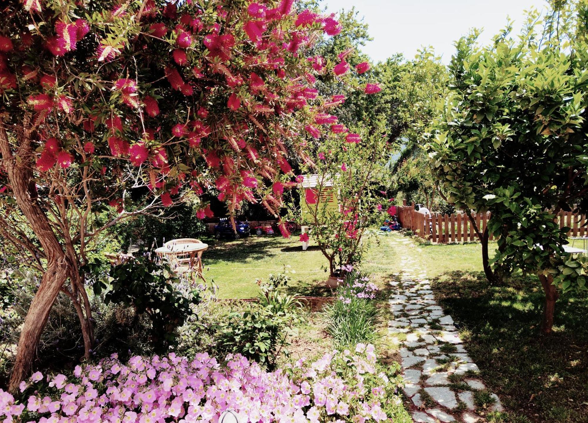 Plakias River Apartment Extérieur photo